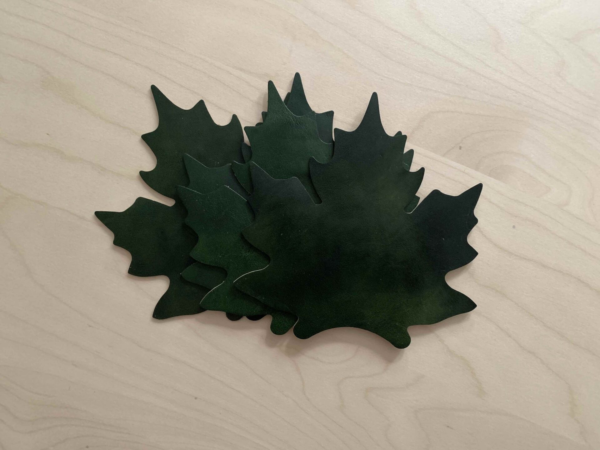 ‘Set of 4 leather coasters-leaves’